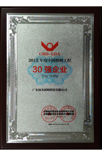 2015年度中國照明工程30強企業